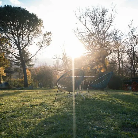 Le Chateau De La Seigne Bed & Breakfast Villemoustaussou