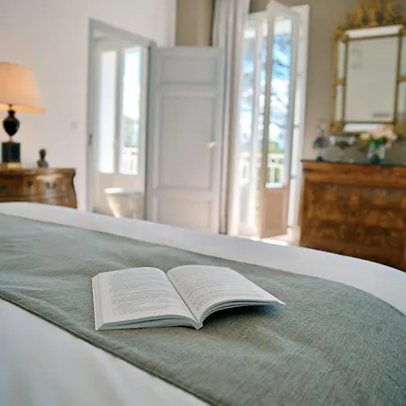 Le Chateau De La Seigne Bed & Breakfast Villemoustaussou
