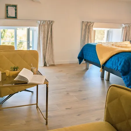 Le Château De La Seigne Près De Carcassonne Bed & Breakfast Villemoustaussou