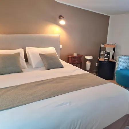 Le Chateau De La Seigne Bed & Breakfast Villemoustaussou